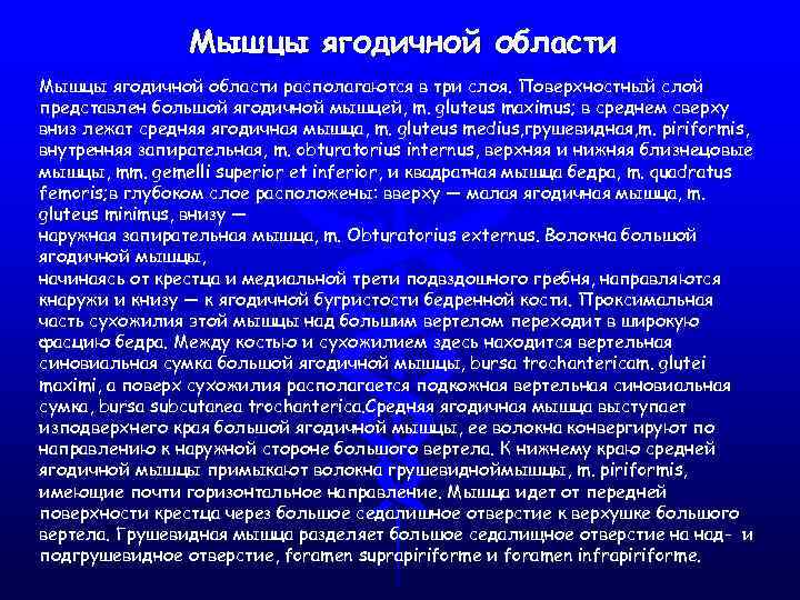 Мышцы ягодичной области располагаются в три слоя. Поверхностный слой представлен большой ягодичной мышцей, m.
