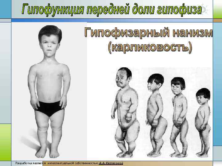 Разработка является интеллектуальной собственностью А. А, Кутузовой 