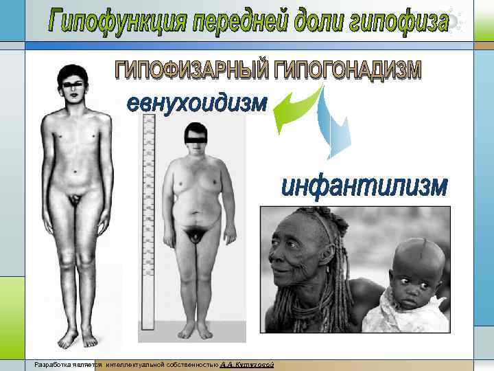 Разработка является интеллектуальной собственностью А. А, Кутузовой 