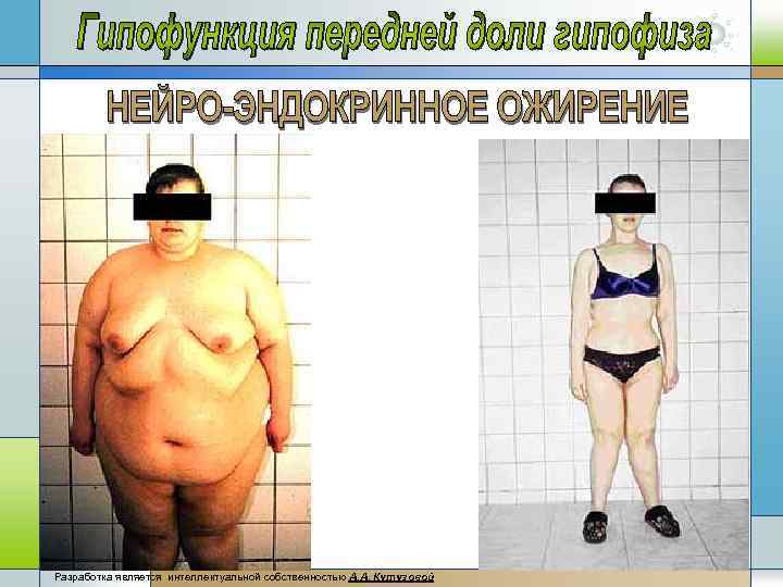 Разработка является интеллектуальной собственностью А. А, Кутузовой 