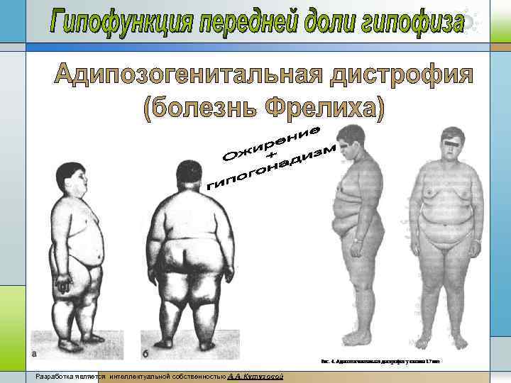 Разработка является интеллектуальной собственностью А. А, Кутузовой 