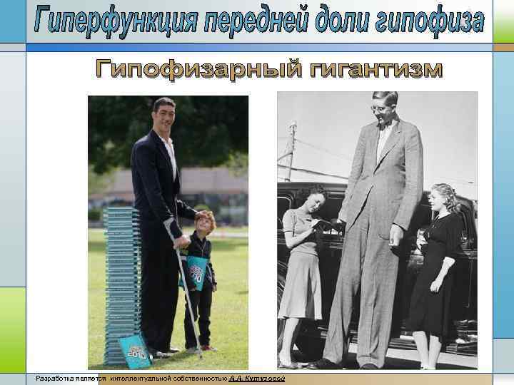 Разработка является интеллектуальной собственностью А. А, Кутузовой 