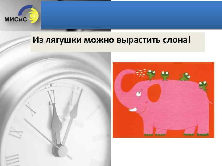 Из лягушки можно вырастить слона! 