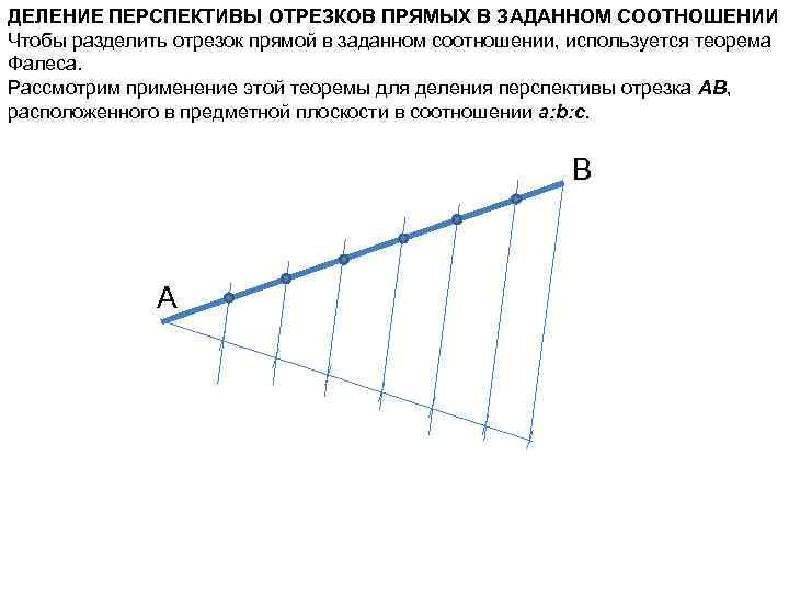 Разделите отрезок