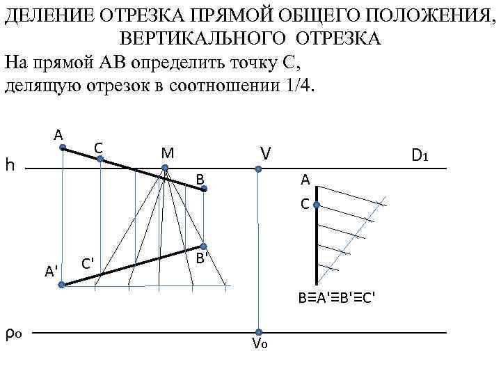 График отрезка. Деление отрезков прямых. Деление отрезка прямой. Деление отрезков в перспективе. Отрезок прямой общего положения.