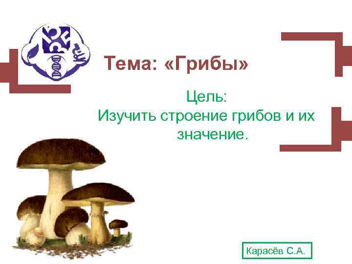 Тема: «Грибы» Цель: Изучить строение грибов и их значение. Карасёв С. А. 