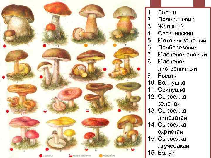 1. 2. 3. 4. 5. 6. 7. 8. 9. 10. 11. 12. 13. 14.