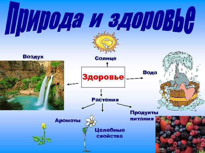 Воздух Солнце Здоровье Вода Растения Продукты питания Ароматы Целебные свойства 