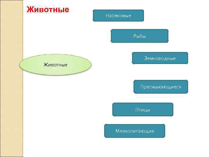 Интеллект карта земноводные