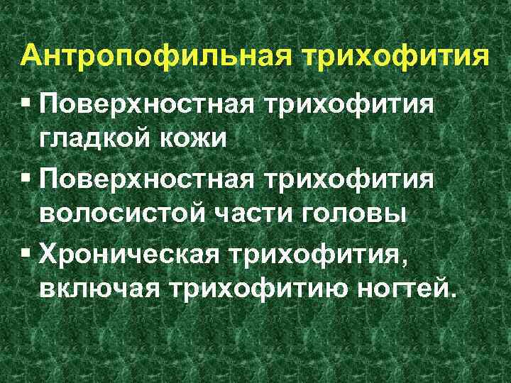 Антропофильная трихофития § Поверхностная трихофития гладкой кожи § Поверхностная трихофития волосистой части головы §