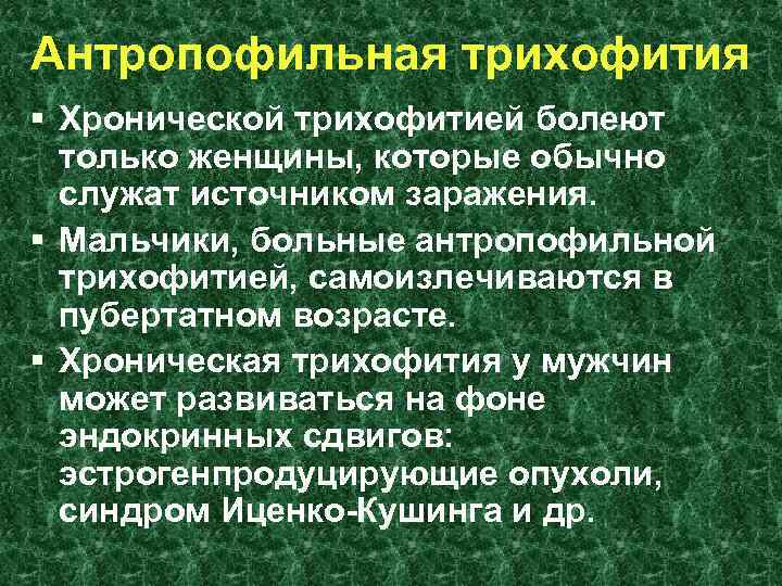 Антропофильная трихофития § Хронической трихофитией болеют только женщины, которые обычно служат источником заражения. §