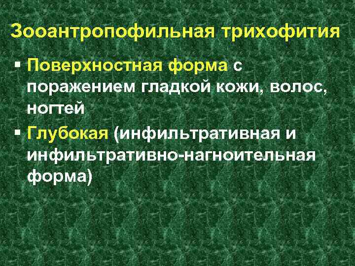 Зооантропофильная трихофития § Поверхностная форма с поражением гладкой кожи, волос, ногтей § Глубокая (инфильтративная