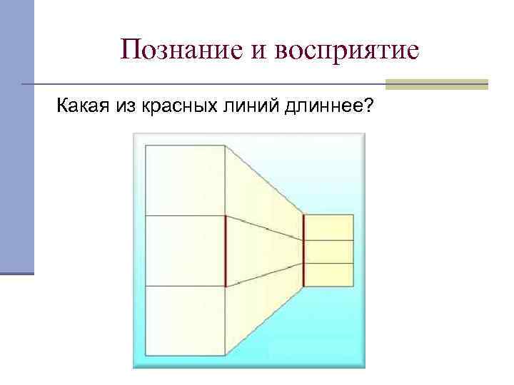 Познание и восприятие Какая из красных линий длиннее? 