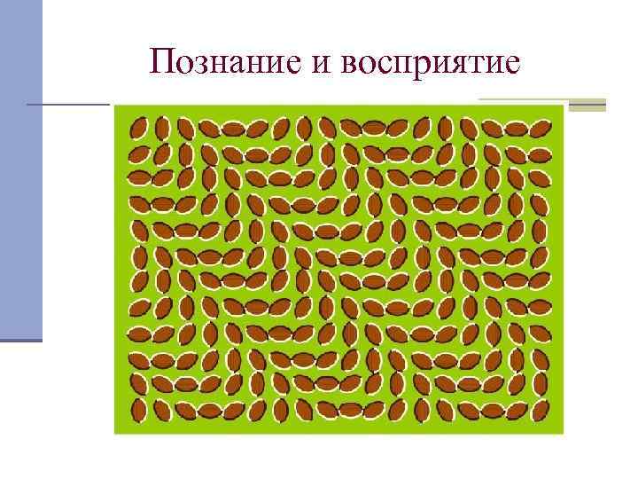 Познание и восприятие 