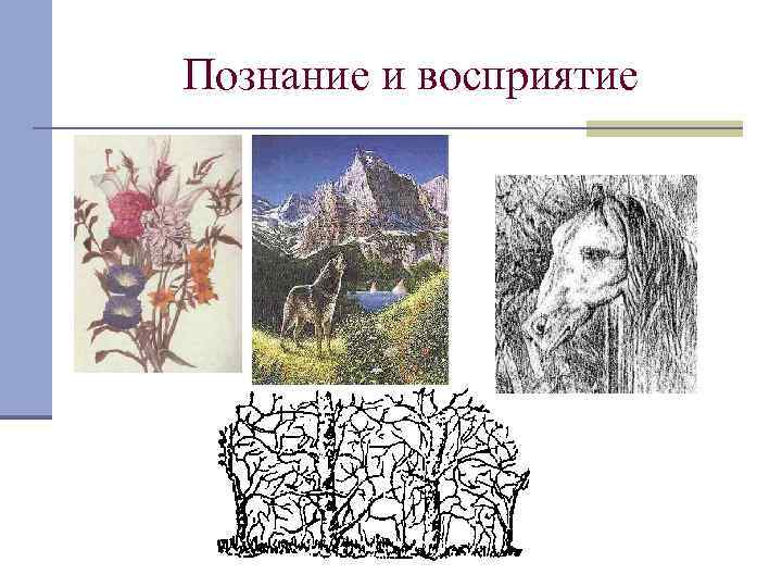 Познание и восприятие 