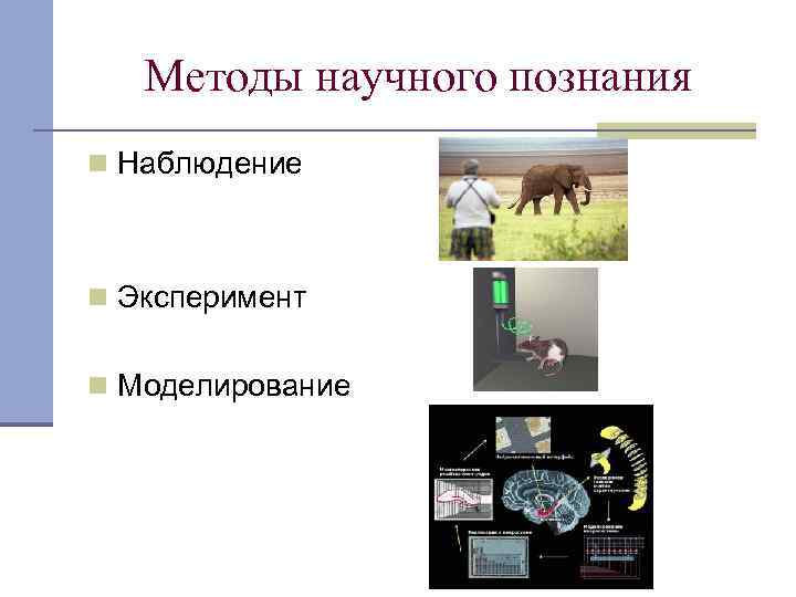 Методы научного познания n Наблюдение n Эксперимент n Моделирование 