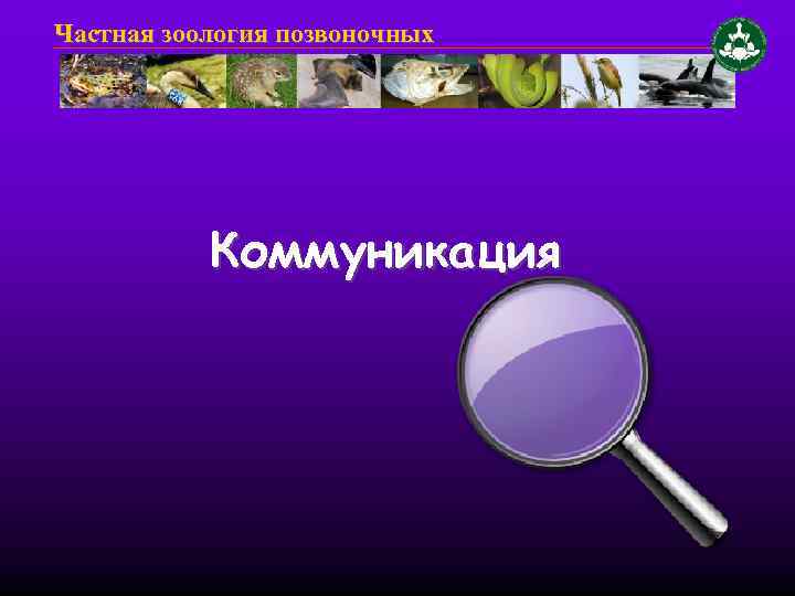 Частная зоология позвоночных Коммуникация 