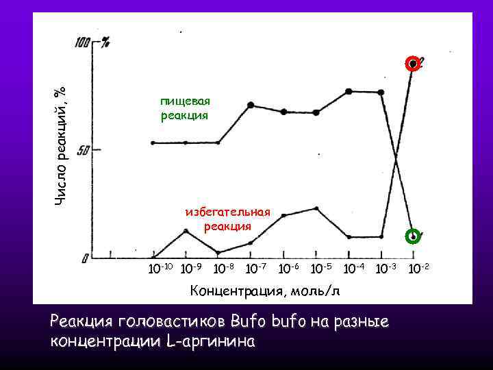 Число реакций, % пищевая реакция избегательная реакция 10 -10 10 -9 10 -8 10
