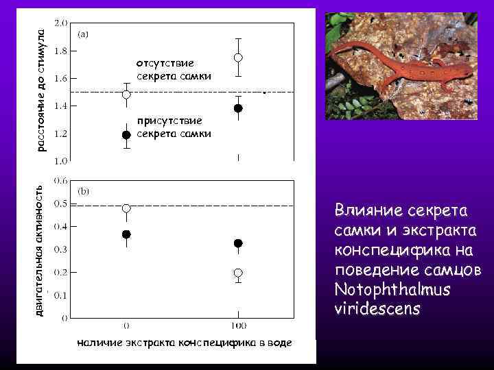 присутствие секрета самки двигательная активность расстояние до стимула отсутствие секрета самки Влияние секрета самки