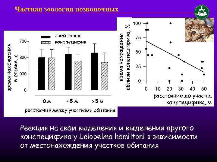 время нахождения вблизи конспецифика, % Частная зоология позвоночных время нахождения в отсеке, с. свой