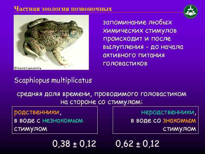 Частная зоология позвоночных запоминание любых химических стимулов происходит и после вылупления - до начала