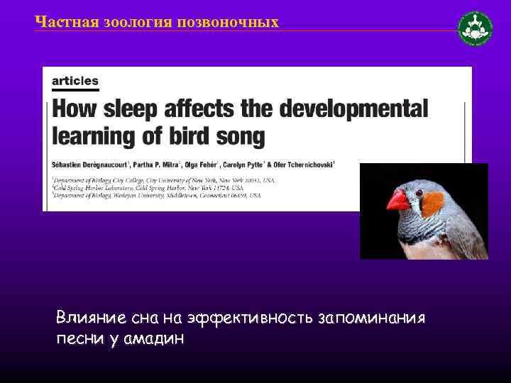 Частная зоология позвоночных Влияние сна на эффективность запоминания песни у амадин 