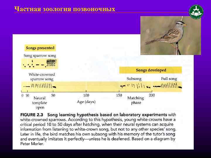 Частная зоология позвоночных 
