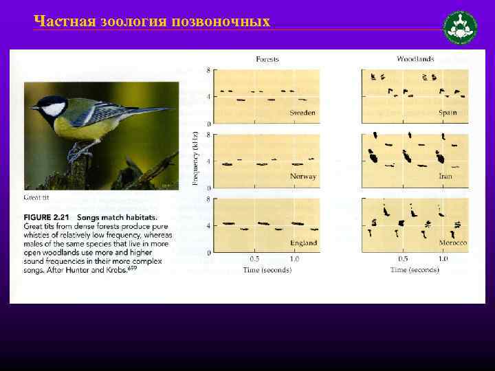 Частная зоология позвоночных 