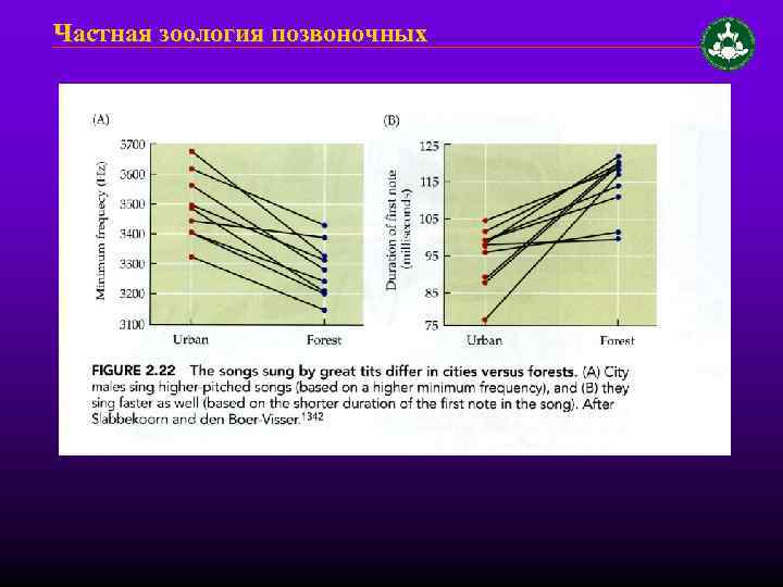 Частная зоология позвоночных 