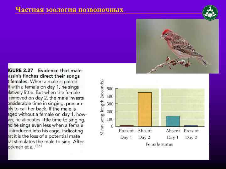 Частная зоология позвоночных 