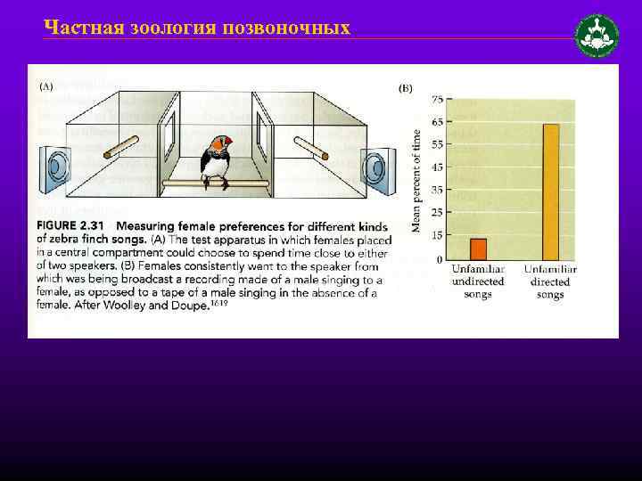 Частная зоология позвоночных 