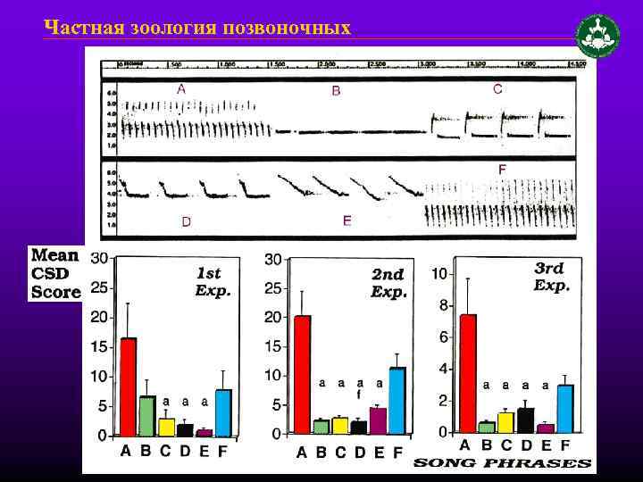 Частная зоология позвоночных 