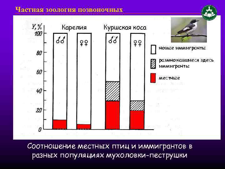 Частная зоология позвоночных Карелия Куршская коса новые иммигранты размножавшиеся здесь иммигранты местные Соотношение местных