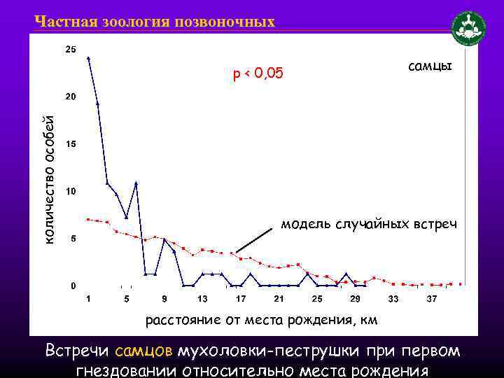 Частная зоология позвоночных количество особей p < 0, 05 самцы модель случайных встреч расстояние