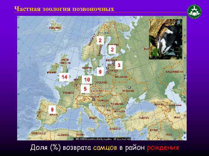 Частная зоология позвоночных 2 2 3 14 9 10 5 9 Доля (%) возврата