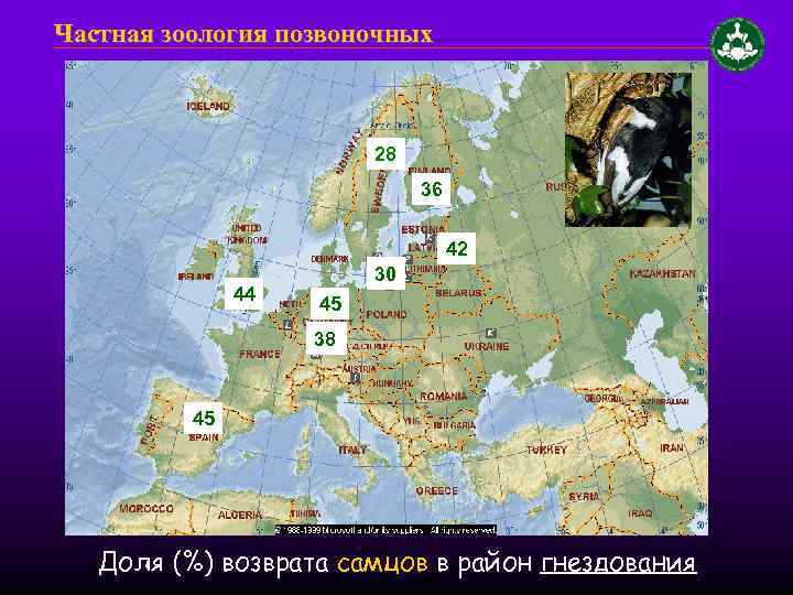 Частная зоология позвоночных 28 36 42 44 30 45 38 45 Доля (%) возврата