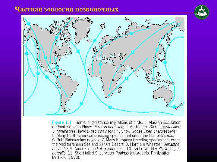 Частная зоология позвоночных 