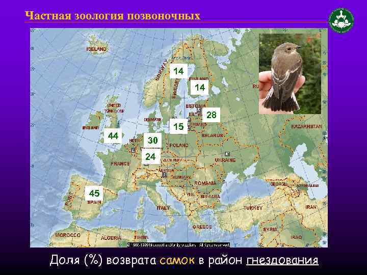 Частная зоология позвоночных 14 14 28 44 15 30 24 45 Доля (%) возврата