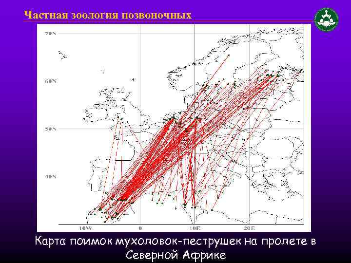 Частная зоология позвоночных Карта поимок мухоловок-пеструшек на пролете в Северной Африке 