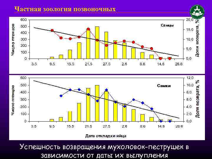Частная зоология позвоночных Успешность возвращения мухоловок-пеструшек в зависимости от даты их вылупления 