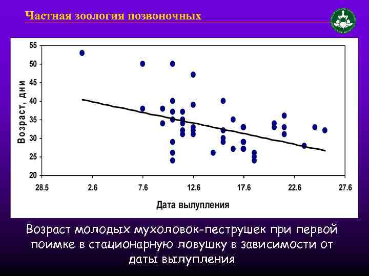 Частная зоология позвоночных Возраст молодых мухоловок-пеструшек при первой поимке в стационарную ловушку в зависимости