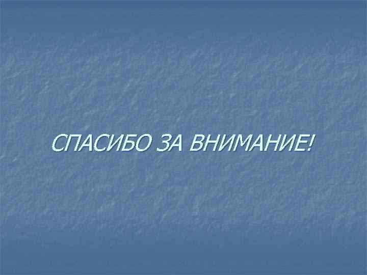 СПАСИБО ЗА ВНИМАНИЕ! 