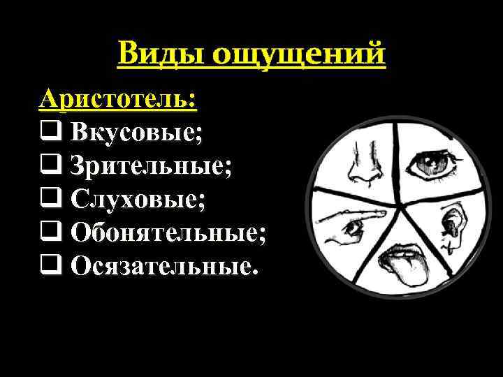 Виды ощущений Аристотель: q Вкусовые; q Зрительные; q Слуховые; q Обонятельные; q Осязательные. 