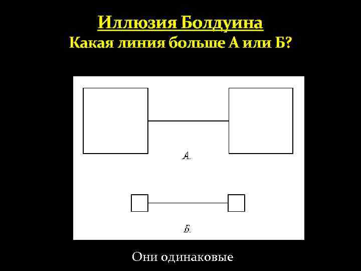 Иллюзия Болдуина Какая линия больше А или Б? Они одинаковые 