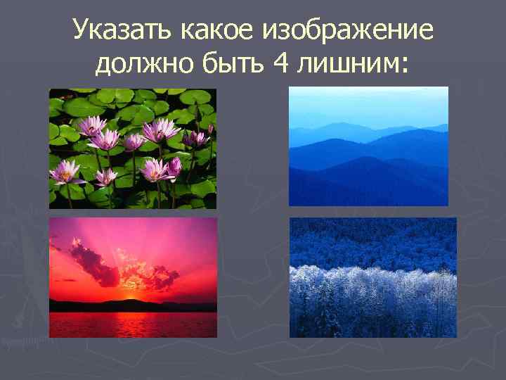 Указать какое изображение должно быть 4 лишним: 