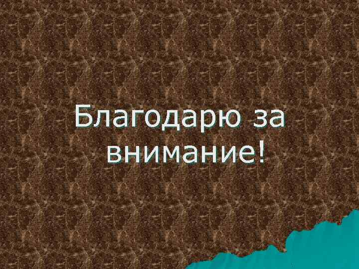 Благодарю за внимание! 