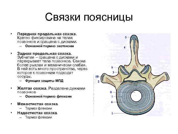 Связки с фантом лансером