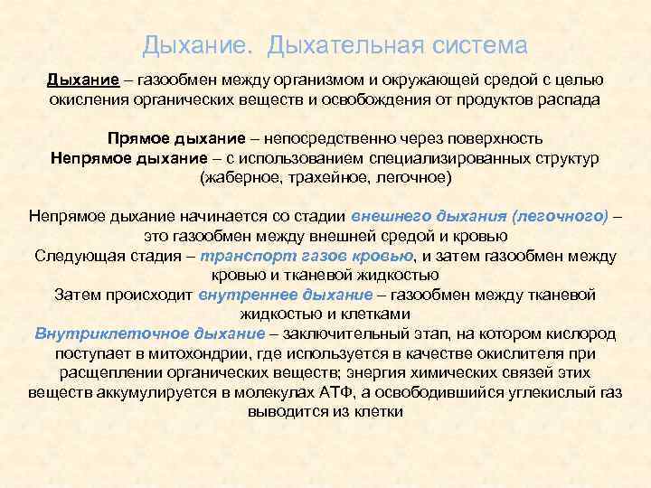 Дыхание. Дыхательная система Дыхание – газообмен между организмом и окружающей средой с целью окисления