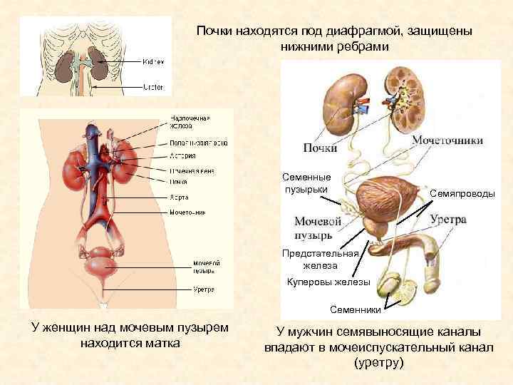  Foto 35