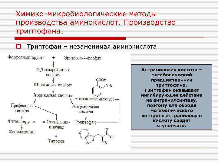 Биотехнология аминокислот презентация